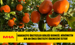 NARENCİYE ÜRETİCİLER BİRLİĞİ DERNEĞİ, HÜKÜMETİN BİR AN ÖNCE ÜRETİCİYİ ÖDEMESİNİ İSTEDİ