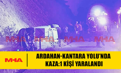 ARDAHAN KANTARA ANAYOLU'NDA TRAFİK KAZASI