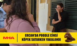 ERCAN HAVALİMANI’NDA 3 POODLE CİNSİ KÖPEKLE YAKALANAN İKİ KİŞİ TEMİNATA BAĞLANDI