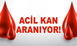HAVVA YAPICI KÜÇÜK İÇİN A+ TROMBOSİT KAN ARANIYOR