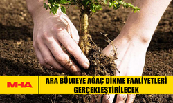 ARA BÖLGEYE AĞAÇ DİKME FAALİYETLERİ GERÇEKLEŞTİRİLECEK