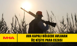 AVA KAPALI BÖLGEDE AVLANAN ÜÇ KİŞİYE PARA CEZASI