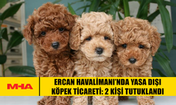ERCAN HAVALİMANI’NDA YASA DIŞI KÖPEK TİCARETİ: 2 KİŞİ TUTUKLANDI