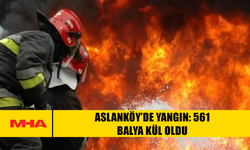 ASLANKÖY’DE YANGIN: 561 BALYA KÜL OLDU