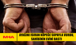 AYAĞINI ISIRAN KÖPEĞE SOPAYLA VURDU‚ SAHİBİNİN EVİNİ BASTI