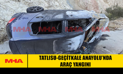 TATLISU-GEÇİTKALE ANAYOLU’NDA ARAÇ YANGINI