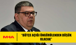 BEROVA: “BÜTÇE AÇIĞI ÖNGÖRÜLENDEN DÜŞÜK OLACAK”