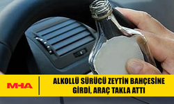 ALKOLLÜ SÜRÜCÜ ZEYTİN BAHÇESİNE GİRDİ, ARAÇ TAKLA ATTI