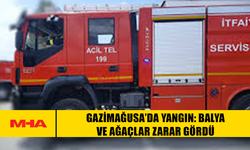 GAZİMAĞUSA’DA YANGIN: BALYA VE AĞAÇLAR ZARAR GÖRDÜ