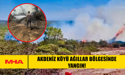 AKDENİZ KÖYÜ AĞILLAR BÖLGESİNDE YANGIN!