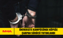 ÜNİVERSİTE KAMPÜSÜNDE KÖPEĞE ÇARPAN SÜRÜCÜ TUTUKLANDI