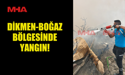 DİKMEN-BOĞAZ BÖLGESİNDE YANGIN!
