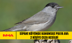 SİPAHİ KÖYÜNDE KANUNSUZ PULYA AVI: 2 KİŞİYE CEZA KESİLDİ