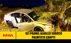 167 PROMİL ALKOLLÜ SÜRÜCÜ PALMİYEYE ÇARPTI