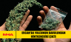 ERCAN'DA YOLCUNUN BAVULUNDAN HİNTKENEVİRİ ÇIKTI