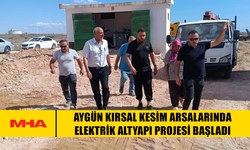 AYGÜN KIRSAL KESİM ARSALARINDA ELEKTRİK ALTYAPI PROJESİ BAŞLADI