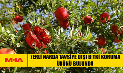YERLİ NARDA TAVSİYE DIŞI BİTKİ KORUMA ÜRÜNÜ BULUNDU