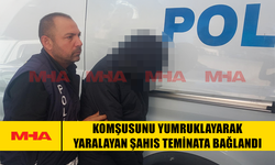 KOMŞUSUNU YUMRUKLAYARAK YARALAYAN ŞAHIS TEMİNATA BAĞLANDI