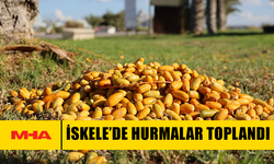 İSKELE’DE HURMA DAĞITIMI GELENEĞİ SÜRÜYOR