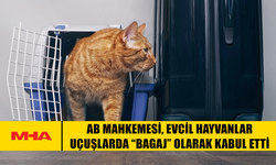 AVRUPA ADALET DİVANI: EVCİL HAYVAN ‘BAGAJ’ SAYILABİLİR