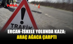 ERCAN-İSKELE YOLUNDA KAZA: ARAÇ AĞACA ÇARPTI