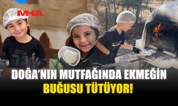 DOĞA’NIN MUTFAĞINDA EKMEĞİN BUĞUSU TÜTÜYOR!