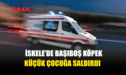 İSKELE’DE BAŞIBOŞ KÖPEK KÜÇÜK ÇOCUĞA SALDIRDI