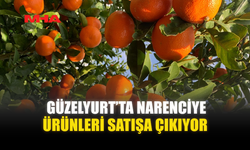 GÜZELYURT’TA NARENCİYE ÜRÜNLERİ SATIŞA ÇIKIYOR
