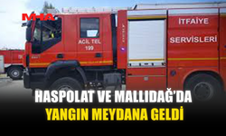 HASPOLAT VE MALLIDAĞ’DA YANGIN MEYDANA GELDİ