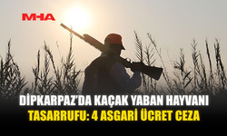 DİPKARPAZ’DA KAÇAK YABAN HAYVANI TASARRUFU: 4 ASGARİ ÜCRET CEZA