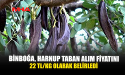 BİNBOĞA, HARNUP TABAN ALIM FİYATINI 22 TL/KG OLARAK BELİRLEDİ