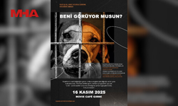 DONSKAYA’DAN SAHİPSİZ HAYVANLAR YARARINA SERGİ