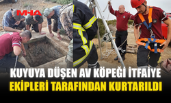 KUYUYA DÜŞEN AV KÖPEĞİ İTFAİYE EKİPLERİ TARAFINDAN KURTARILDI
