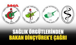 SAĞLIK ÖRGÜTLERİNDEN BAKAN DİNÇYÜREK’E ÇAĞRI