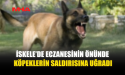 İSKELE’DE ECZANESİNİN ÖNÜNDE KÖPEKLERİN SALDIRISINA UĞRADI