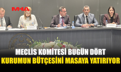MECLİS KOMİTESİ BUGÜN DÖRT KURUMUN BÜTÇESİNİ MASAYA YATIRIYOR