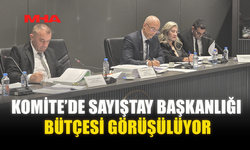 KOMİTE’DE SAYIŞTAY BAŞKANLIĞI BÜTÇESİ GÖRÜŞÜLÜYOR
