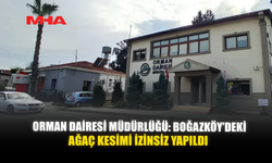 ORMAN DAİRESİ MÜDÜRLÜĞÜ: BOĞAZKÖY’DEKİ AĞAÇ KESİMİ İZİNSİZ YAPILDI