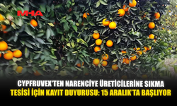 CYPFRUVEX'TEN NARENCİYE ÜRETİCİLERİNE SIKMA TESİSİ İÇİN KAYIT DUYURUSU: 15 ARALIK’TA BAŞLIYOR