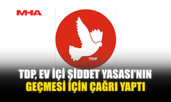 TDP, EV İÇİ ŞİDDET YASASI’NIN GEÇMESİ İÇİN ÇAĞRI YAPTI