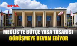 MECLİS'TE BÜTÇE YASA TASARISI GÖRÜŞMEYE DEVAM EDİYOR