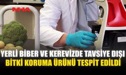 YERLİ BİBER VE KEREVİZDE TAVSİYE DIŞI BİTKİ KORUMA ÜRÜNÜ TESPİT EDİLDİ