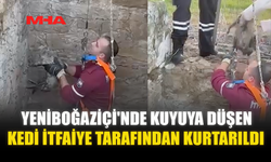 YENİBOĞAZİÇİ'NDE KUYUYA DÜŞEN KEDİ İTFAİYE TARAFINDAN KURTARILDI