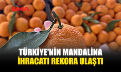 TÜRKİYE'NİN MANDALİNA İHRACATI REKORA ULAŞTI
