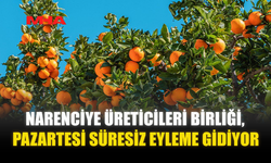 NARENCİYE ÜRETİCİLERİ BİRLİĞİ, PAZARTESİ SÜRESİZ EYLEME GİDİYOR