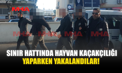 SINIR HATTINDA HAYVAN KAÇAKÇILIĞI YAPARKEN YAKALANDILAR!