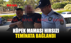 KÖPEK MAMASI HIRSIZI TEMİNATA BAĞLANDI