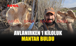 AVLANIRKEN 1 KİLOLUK MANTAR BULDU