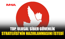TDP, ULUSAL SİBER GÜVENLİK STRATEJİSİ’NİN HAZIRLANMASINI İSTEDİ
