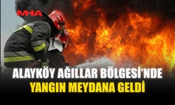 ALAYKÖY AĞILLAR BÖLGESİ’NDE YANGIN MEYDANA GELDİ